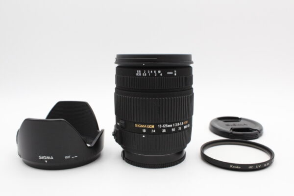 【美品】SIGMA シグマ 18-125mm F3.8-5.6 DC HSM ソニー用 #LE20257942
