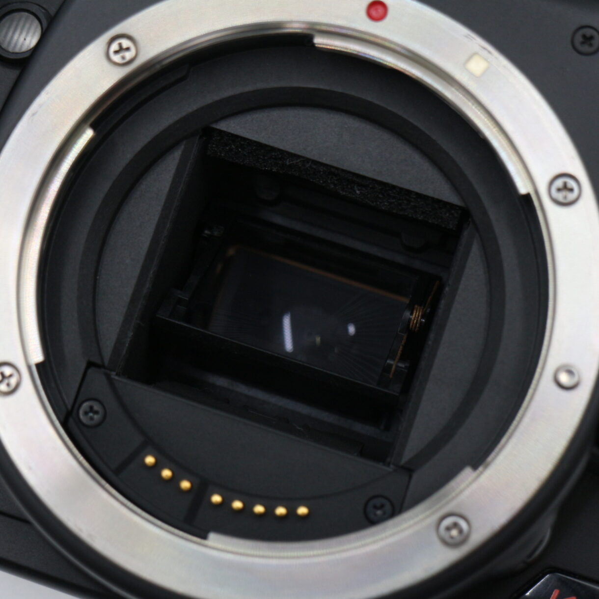 【良品】CANON キヤノン EOS Kiss Digital X レンズキット EF-S 18-55mm EFマウント デジタル一眼レフカメラ #LE2029486 - 画像 (13)